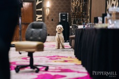 Peppermill-Poker-Palooza-_-Alicia-Skillman_DSC08633