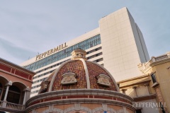 Peppermill-Poker-Palooza-_-Alicia-Skillman_DSC09218