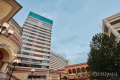 Peppermill-Poker-Palooza-_-Alicia-Skillman_DSC09263