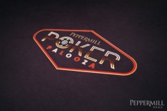 Peppermill-Poker-Palooza-_-Alicia-Skillman_DSC09731